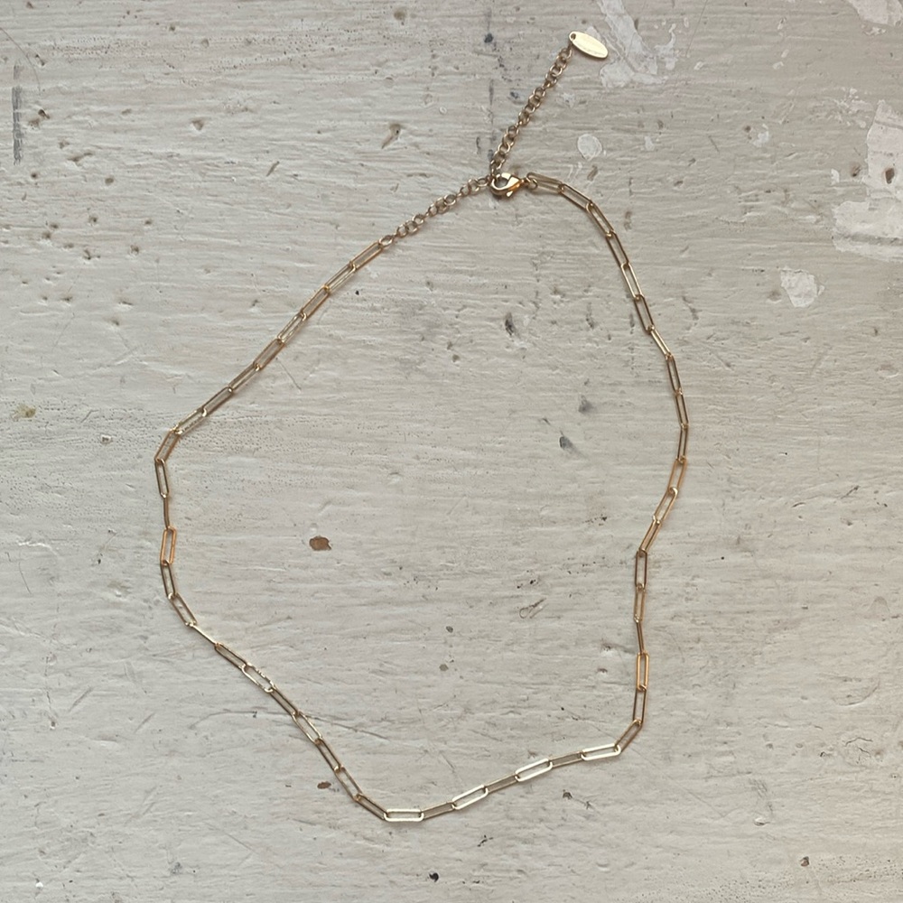Delicate Paper Clip necklace never worn great condition!